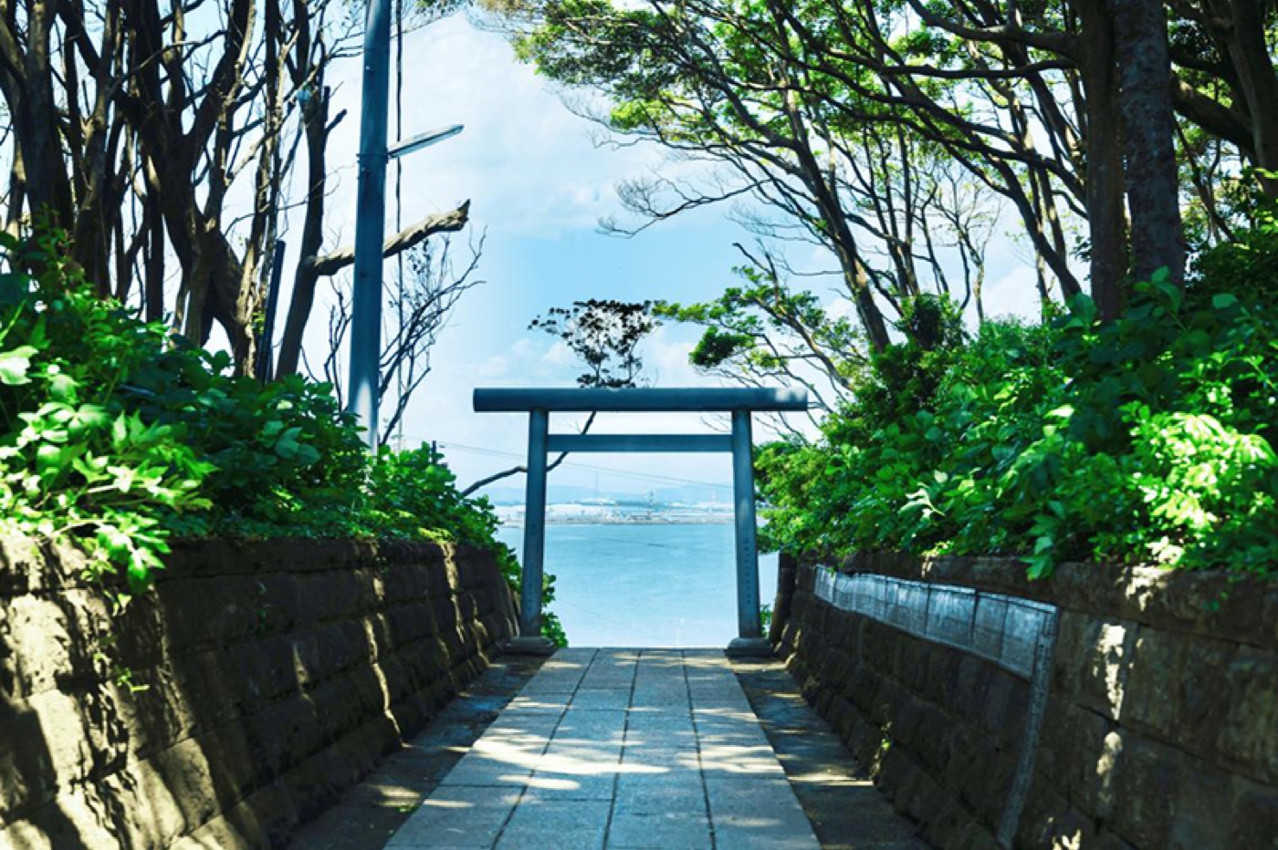 酒列磯前神社(神社巡り × 阿字ヶ浦散策)